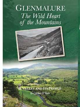 Read Glenmalure: The Wild Heart of the Mountains: A Valley and its People - Carmel O'Toole file in PDF