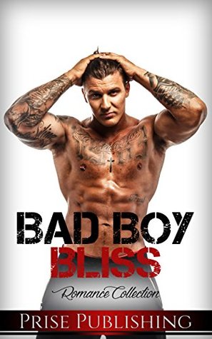 Download ROMANCE: Bad Boy Bliss: (Secret Baby Bad Boy Menage Romance) (Contemporary Alpha Male New Adult Stories) - Prise Publishing file in ePub