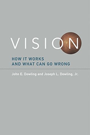 Full Download Vision: How It Works and What Can Go Wrong (The MIT Press) - John E. Dowling | ePub