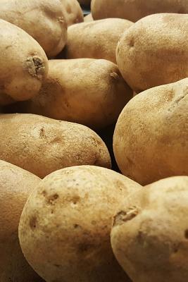 Download Huge Delicious Idaho Potatoes, for the Love of Food: Blank 150 Page Lined Journal for Your Thoughts, Ideas, and Inspiration -  | ePub