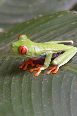 Read Tiny Green Tree Frog Journal: 150 Page Lined Notebook/Diary -  file in ePub