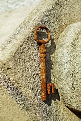 Read Online A Rusted Antique Key: Blank 150 Page Lined Journal for Your Thoughts, Ideas, and Inspiration - | ePub