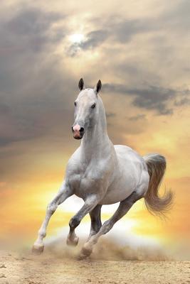 Download Horse March Notebook & Journal. Productivity Work Planner & Idea Notepad: Brainstorm Thoughts, Self Discovery, To Do List - Equine Life file in PDF