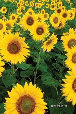 Read Journal Pages - Sun Flower Field: 6 X 9, Lined Journal, Blank Book Notebook, Durable Cover,150 Pages for Writing -  file in PDF
