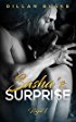 Read Sasha's Surprise: Night 1 (Ultimate Surrender, #1) - Dillan Blake file in PDF