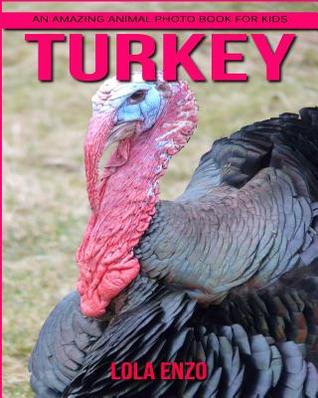 Download Turkey: An Amazing Animal Photo Book for Kids - Lola Enzo file in ePub