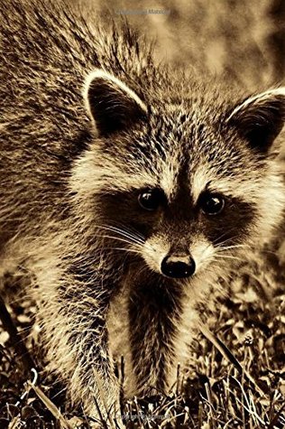 Read Raccoon: journal/notebook with 150 lined pages -  | ePub