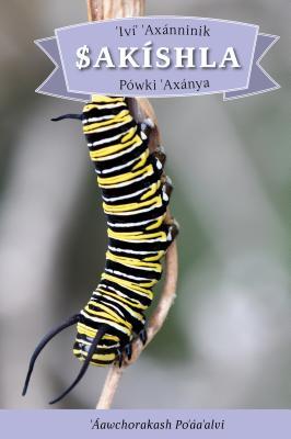 Read IVI' Axanninik Sakishla Powki 'axanya: English Translation: How the Caterpillar Got Its Wings - Neal Ibanez | PDF